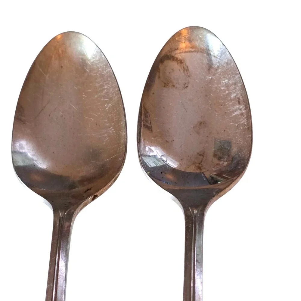 Vintage Oneida Wm A Rogers Valley Rose Silverplate Flatware Set 20 Pcs 1956